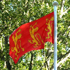 Rikhard Leijonamielen lippu