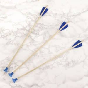 3 Arrows for Children's Bow