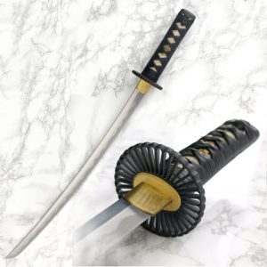 Practical Plus Wakizashi