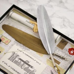 Gold/Silver Calligraphy Set with Ink and 5 Nibs