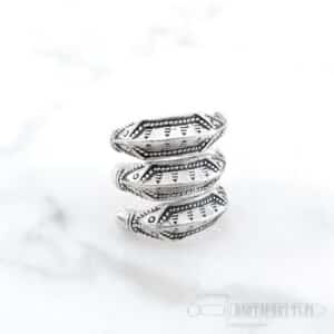 Iron Age Ring "Himlingoje"